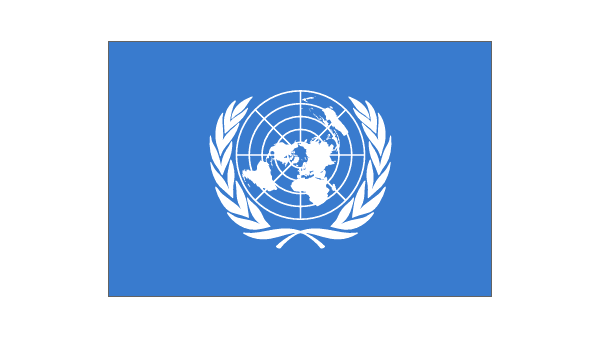 Faut-il sauver l'ONU ?