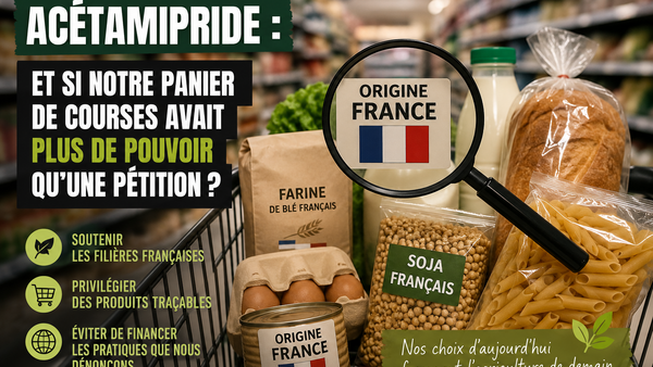 Acétamipride : et si notre panier de courses avait plus de pouvoir qu'une pétition ?
