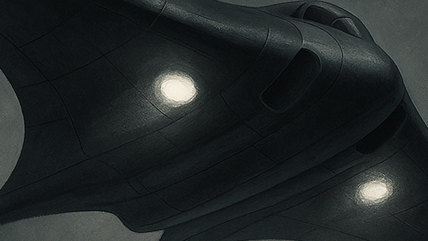 Les freres Horten : Histoire des ailes volantes