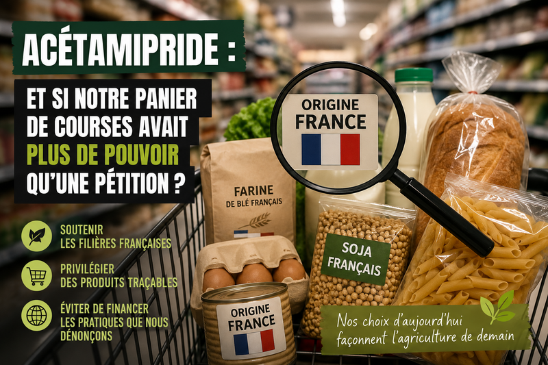 Acétamipride : et si notre panier de courses avait plus de pouvoir qu'une pétition ?